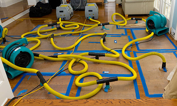 Professional Crawl Space Water Removal technician working in Woodville, AL